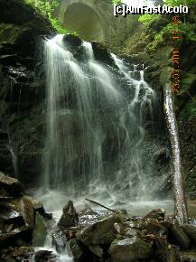 [P02] Cascada Frasin. Podul de deasupra deserveşte drumul forestier, a cărei origine se află puţin mai sus pe dreapta de sătucul Lunca Cheii. » foto by Qvadratvus
 - 
<span class="allrVoted glyphicon glyphicon-heart hidden" id="av255348"></span>
<a class="m-l-10 hidden" id="sv255348" onclick="voting_Foto_DelVot(,255348,9454)" role="button">șterge vot <span class="glyphicon glyphicon-remove"></span></a>
<a id="v9255348" class=" c-red"  onclick="voting_Foto_SetVot(255348)" role="button"><span class="glyphicon glyphicon-heart-empty"></span> <b>LIKE</b> = Votează poza</a> <img class="hidden"  id="f255348W9" src="/imagini/loader.gif" border="0" /><span class="AjErrMes hidden" id="e255348ErM"></span>