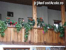 [P07] Muscatele si begoniile care se bucura de aerul curat » foto by dannek
 - 
<span class="allrVoted glyphicon glyphicon-heart hidden" id="av161873"></span>
<a class="m-l-10 hidden" id="sv161873" onclick="voting_Foto_DelVot(,161873,9640)" role="button">șterge vot <span class="glyphicon glyphicon-remove"></span></a>
<a id="v9161873" class=" c-red"  onclick="voting_Foto_SetVot(161873)" role="button"><span class="glyphicon glyphicon-heart-empty"></span> <b>LIKE</b> = Votează poza</a> <img class="hidden"  id="f161873W9" src="/imagini/loader.gif" border="0" /><span class="AjErrMes hidden" id="e161873ErM"></span>