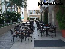 [P21] terasa exterioara de la Bistro unde se putea sta in cursul intregii zile (seara la lumina lumanarii)si unde se puteau comanda tot felul de bauturi nealcoolice si alcoolice (inclusiv cocktailuri) » foto by Nico B
 - 
<span class="allrVoted glyphicon glyphicon-heart hidden" id="av235558"></span>
<a class="m-l-10 hidden" id="sv235558" onclick="voting_Foto_DelVot(,235558,9661)" role="button">șterge vot <span class="glyphicon glyphicon-remove"></span></a>
<a id="v9235558" class=" c-red"  onclick="voting_Foto_SetVot(235558)" role="button"><span class="glyphicon glyphicon-heart-empty"></span> <b>LIKE</b> = Votează poza</a> <img class="hidden"  id="f235558W9" src="/imagini/loader.gif" border="0" /><span class="AjErrMes hidden" id="e235558ErM"></span>