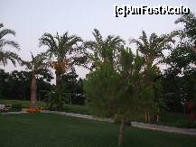 [P33] gradina hotel » foto by Nico B
 - 
<span class="allrVoted glyphicon glyphicon-heart hidden" id="av235583"></span>
<a class="m-l-10 hidden" id="sv235583" onclick="voting_Foto_DelVot(,235583,9661)" role="button">șterge vot <span class="glyphicon glyphicon-remove"></span></a>
<a id="v9235583" class=" c-red"  onclick="voting_Foto_SetVot(235583)" role="button"><span class="glyphicon glyphicon-heart-empty"></span> <b>LIKE</b> = Votează poza</a> <img class="hidden"  id="f235583W9" src="/imagini/loader.gif" border="0" /><span class="AjErrMes hidden" id="e235583ErM"></span>