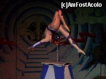 [P43] show acrobatie » foto by Nico B
 - 
<span class="allrVoted glyphicon glyphicon-heart hidden" id="av235610"></span>
<a class="m-l-10 hidden" id="sv235610" onclick="voting_Foto_DelVot(,235610,9661)" role="button">șterge vot <span class="glyphicon glyphicon-remove"></span></a>
<a id="v9235610" class=" c-red"  onclick="voting_Foto_SetVot(235610)" role="button"><span class="glyphicon glyphicon-heart-empty"></span> <b>LIKE</b> = Votează poza</a> <img class="hidden"  id="f235610W9" src="/imagini/loader.gif" border="0" /><span class="AjErrMes hidden" id="e235610ErM"></span>