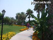 [P55] gradina hotel » foto by Nico B
 - 
<span class="allrVoted glyphicon glyphicon-heart hidden" id="av235641"></span>
<a class="m-l-10 hidden" id="sv235641" onclick="voting_Foto_DelVot(,235641,9661)" role="button">șterge vot <span class="glyphicon glyphicon-remove"></span></a>
<a id="v9235641" class=" c-red"  onclick="voting_Foto_SetVot(235641)" role="button"><span class="glyphicon glyphicon-heart-empty"></span> <b>LIKE</b> = Votează poza</a> <img class="hidden"  id="f235641W9" src="/imagini/loader.gif" border="0" /><span class="AjErrMes hidden" id="e235641ErM"></span>
