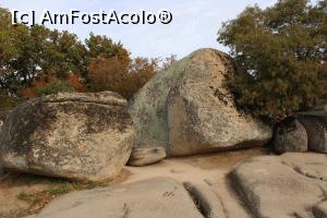 [P17] Primorsko, Beglik Tash, Tronul în centru și în dreapta Menhir cu Pasul spre Soare » foto by mprofeanu
 - 
<span class="allrVoted glyphicon glyphicon-heart hidden" id="av1209940"></span>
<a class="m-l-10 hidden" id="sv1209940" onclick="voting_Foto_DelVot(,1209940,9723)" role="button">șterge vot <span class="glyphicon glyphicon-remove"></span></a>
<a id="v91209940" class=" c-red"  onclick="voting_Foto_SetVot(1209940)" role="button"><span class="glyphicon glyphicon-heart-empty"></span> <b>LIKE</b> = Votează poza</a> <img class="hidden"  id="f1209940W9" src="/imagini/loader.gif" border="0" /><span class="AjErrMes hidden" id="e1209940ErM"></span>