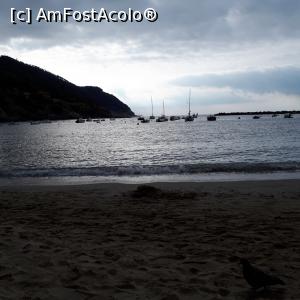 [P06] Baia del Silenzio - Sestri Levante » foto by Chloe
 - 
<span class="allrVoted glyphicon glyphicon-heart hidden" id="av937975"></span>
<a class="m-l-10 hidden" id="sv937975" onclick="voting_Foto_DelVot(,937975,9802)" role="button">șterge vot <span class="glyphicon glyphicon-remove"></span></a>
<a id="v9937975" class=" c-red"  onclick="voting_Foto_SetVot(937975)" role="button"><span class="glyphicon glyphicon-heart-empty"></span> <b>LIKE</b> = Votează poza</a> <img class="hidden"  id="f937975W9" src="/imagini/loader.gif" border="0" /><span class="AjErrMes hidden" id="e937975ErM"></span>