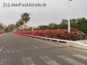 [P07] Podul Florilor Valencia » foto by Dimosu
 - 
<span class="allrVoted glyphicon glyphicon-heart hidden" id="av1084766"></span>
<a class="m-l-10 hidden" id="sv1084766" onclick="voting_Foto_DelVot(,1084766,9941)" role="button">șterge vot <span class="glyphicon glyphicon-remove"></span></a>
<a id="v91084766" class=" c-red"  onclick="voting_Foto_SetVot(1084766)" role="button"><span class="glyphicon glyphicon-heart-empty"></span> <b>LIKE</b> = Votează poza</a> <img class="hidden"  id="f1084766W9" src="/imagini/loader.gif" border="0" /><span class="AjErrMes hidden" id="e1084766ErM"></span>