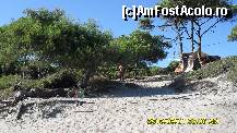 [P55] corturi in padurea de la Karidi Beach » foto by adryana
 - 
<span class="allrVoted glyphicon glyphicon-heart hidden" id="av136524"></span>
<a class="m-l-10 hidden" id="sv136524" onclick="voting_Foto_DelVot(,136524,9990)" role="button">șterge vot <span class="glyphicon glyphicon-remove"></span></a>
<a id="v9136524" class=" c-red"  onclick="voting_Foto_SetVot(136524)" role="button"><span class="glyphicon glyphicon-heart-empty"></span> <b>LIKE</b> = Votează poza</a> <img class="hidden"  id="f136524W9" src="/imagini/loader.gif" border="0" /><span class="AjErrMes hidden" id="e136524ErM"></span>