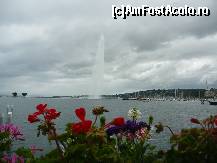 P16 [JUL-2013] Geneva