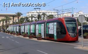 [P41] Prin Casablanca » foto by DanSta
 - 
<span class="allrVoted glyphicon glyphicon-heart hidden" id="av1482826"></span>
<a class="m-l-10 hidden" id="sv1482826" onclick="voting_Foto_DelVot(,1482826,10179)" role="button">șterge vot <span class="glyphicon glyphicon-remove"></span></a>
<a id="v91482826" class=" c-red"  onclick="voting_Foto_SetVot(1482826)" role="button"><span class="glyphicon glyphicon-heart-empty"></span> <b>LIKE</b> = Votează poza</a> <img class="hidden"  id="f1482826W9" src="/imagini/loader.gif" border="0" /><span class="AjErrMes hidden" id="e1482826ErM"></span>