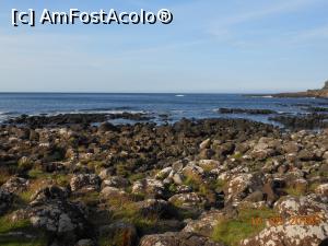 [P18] Giant's Causeway - Țărmul Atlanticului aproape de Drumul uriașului.  » foto by iulianic
 - 
<span class="allrVoted glyphicon glyphicon-heart hidden" id="av784688"></span>
<a class="m-l-10 hidden" id="sv784688" onclick="voting_Foto_DelVot(,784688,10233)" role="button">șterge vot <span class="glyphicon glyphicon-remove"></span></a>
<a id="v9784688" class=" c-red"  onclick="voting_Foto_SetVot(784688)" role="button"><span class="glyphicon glyphicon-heart-empty"></span> <b>LIKE</b> = Votează poza</a> <img class="hidden"  id="f784688W9" src="/imagini/loader.gif" border="0" /><span class="AjErrMes hidden" id="e784688ErM"></span>