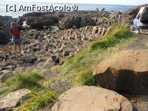 [P22] Giant's Causeway - Vârfuri de coloane.  » foto by iulianic
 - 
<span class="allrVoted glyphicon glyphicon-heart hidden" id="av784692"></span>
<a class="m-l-10 hidden" id="sv784692" onclick="voting_Foto_DelVot(,784692,10233)" role="button">șterge vot <span class="glyphicon glyphicon-remove"></span></a>
<a id="v9784692" class=" c-red"  onclick="voting_Foto_SetVot(784692)" role="button"><span class="glyphicon glyphicon-heart-empty"></span> <b>LIKE</b> = Votează poza</a> <img class="hidden"  id="f784692W9" src="/imagini/loader.gif" border="0" /><span class="AjErrMes hidden" id="e784692ErM"></span>