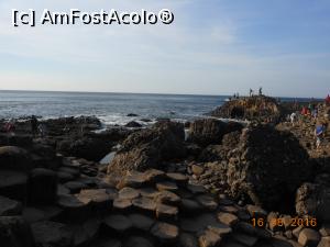 [P24] Giant's Causeway - Drumul uriașului.  » foto by iulianic
 - 
<span class="allrVoted glyphicon glyphicon-heart hidden" id="av784694"></span>
<a class="m-l-10 hidden" id="sv784694" onclick="voting_Foto_DelVot(,784694,10233)" role="button">șterge vot <span class="glyphicon glyphicon-remove"></span></a>
<a id="v9784694" class=" c-red"  onclick="voting_Foto_SetVot(784694)" role="button"><span class="glyphicon glyphicon-heart-empty"></span> <b>LIKE</b> = Votează poza</a> <img class="hidden"  id="f784694W9" src="/imagini/loader.gif" border="0" /><span class="AjErrMes hidden" id="e784694ErM"></span>