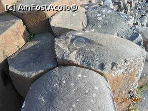 [P25] Giant's Causeway - Roci bazaltice pe Drumul uriașului.  » foto by iulianic
 - 
<span class="allrVoted glyphicon glyphicon-heart hidden" id="av784695"></span>
<a class="m-l-10 hidden" id="sv784695" onclick="voting_Foto_DelVot(,784695,10233)" role="button">șterge vot <span class="glyphicon glyphicon-remove"></span></a>
<a id="v9784695" class=" c-red"  onclick="voting_Foto_SetVot(784695)" role="button"><span class="glyphicon glyphicon-heart-empty"></span> <b>LIKE</b> = Votează poza</a> <img class="hidden"  id="f784695W9" src="/imagini/loader.gif" border="0" /><span class="AjErrMes hidden" id="e784695ErM"></span>