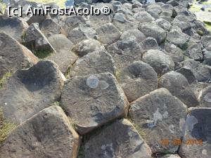 [P26] Giant's Causeway - Perfecțiunea naturii.  » foto by iulianic
 - 
<span class="allrVoted glyphicon glyphicon-heart hidden" id="av784696"></span>
<a class="m-l-10 hidden" id="sv784696" onclick="voting_Foto_DelVot(,784696,10233)" role="button">șterge vot <span class="glyphicon glyphicon-remove"></span></a>
<a id="v9784696" class=" c-red"  onclick="voting_Foto_SetVot(784696)" role="button"><span class="glyphicon glyphicon-heart-empty"></span> <b>LIKE</b> = Votează poza</a> <img class="hidden"  id="f784696W9" src="/imagini/loader.gif" border="0" /><span class="AjErrMes hidden" id="e784696ErM"></span>