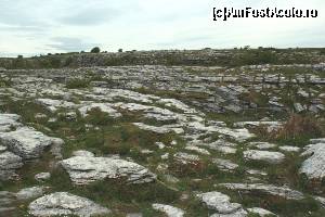 [P22] Limestone la Poulnabrone Dolmen » foto by ariciu
 - 
<span class="allrVoted glyphicon glyphicon-heart hidden" id="av511338"></span>
<a class="m-l-10 hidden" id="sv511338" onclick="voting_Foto_DelVot(,511338,10242)" role="button">șterge vot <span class="glyphicon glyphicon-remove"></span></a>
<a id="v9511338" class=" c-red"  onclick="voting_Foto_SetVot(511338)" role="button"><span class="glyphicon glyphicon-heart-empty"></span> <b>LIKE</b> = Votează poza</a> <img class="hidden"  id="f511338W9" src="/imagini/loader.gif" border="0" /><span class="AjErrMes hidden" id="e511338ErM"></span>