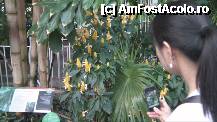 [P17] Fotografiem cum se fotografiaza...:) The Palm House. » foto by TraianS
 - 
<span class="allrVoted glyphicon glyphicon-heart hidden" id="av222841"></span>
<a class="m-l-10 hidden" id="sv222841" onclick="voting_Foto_DelVot(,222841,10282)" role="button">șterge vot <span class="glyphicon glyphicon-remove"></span></a>
<a id="v9222841" class=" c-red"  onclick="voting_Foto_SetVot(222841)" role="button"><span class="glyphicon glyphicon-heart-empty"></span> <b>LIKE</b> = Votează poza</a> <img class="hidden"  id="f222841W9" src="/imagini/loader.gif" border="0" /><span class="AjErrMes hidden" id="e222841ErM"></span>