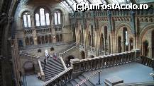 [P202] Central Hall vazuta de sus, de langa Sequoia. Pe balcoanele din jur, ceva maimute impaiate si 'Our Place in the Evolution'. » foto by TraianS
 - 
<span class="allrVoted glyphicon glyphicon-heart hidden" id="av223389"></span>
<a class="m-l-10 hidden" id="sv223389" onclick="voting_Foto_DelVot(,223389,10282)" role="button">șterge vot <span class="glyphicon glyphicon-remove"></span></a>
<a id="v9223389" class=" c-red"  onclick="voting_Foto_SetVot(223389)" role="button"><span class="glyphicon glyphicon-heart-empty"></span> <b>LIKE</b> = Votează poza</a> <img class="hidden"  id="f223389W9" src="/imagini/loader.gif" border="0" /><span class="AjErrMes hidden" id="e223389ErM"></span>