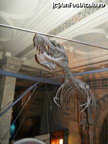 [P206] T.Rex? » foto by TraianS
 - 
<span class="allrVoted glyphicon glyphicon-heart hidden" id="av223399"></span>
<a class="m-l-10 hidden" id="sv223399" onclick="voting_Foto_DelVot(,223399,10282)" role="button">șterge vot <span class="glyphicon glyphicon-remove"></span></a>
<a id="v9223399" class=" c-red"  onclick="voting_Foto_SetVot(223399)" role="button"><span class="glyphicon glyphicon-heart-empty"></span> <b>LIKE</b> = Votează poza</a> <img class="hidden"  id="f223399W9" src="/imagini/loader.gif" border="0" /><span class="AjErrMes hidden" id="e223399ErM"></span>