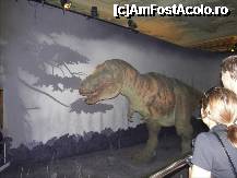 [P208] T. Rex – “animatronic model”. Aici l-a lovit blitzul si pare ca o jucarie, dar atmosfera, miscarile, sunetele ..sunt o mare realizare in domeniul efectelor speciale, as zice eu. » foto by TraianS
 - 
<span class="allrVoted glyphicon glyphicon-heart hidden" id="av223402"></span>
<a class="m-l-10 hidden" id="sv223402" onclick="voting_Foto_DelVot(,223402,10282)" role="button">șterge vot <span class="glyphicon glyphicon-remove"></span></a>
<a id="v9223402" class=" c-red"  onclick="voting_Foto_SetVot(223402)" role="button"><span class="glyphicon glyphicon-heart-empty"></span> <b>LIKE</b> = Votează poza</a> <img class="hidden"  id="f223402W9" src="/imagini/loader.gif" border="0" /><span class="AjErrMes hidden" id="e223402ErM"></span>