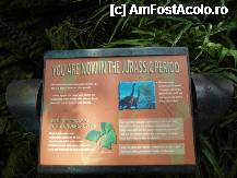 [P43] You are now in the Jurassic Period. Incepusera sa maraie dinozaurii. » foto by TraianS
 - 
<span class="allrVoted glyphicon glyphicon-heart hidden" id="av222898"></span>
<a class="m-l-10 hidden" id="sv222898" onclick="voting_Foto_DelVot(,222898,10282)" role="button">șterge vot <span class="glyphicon glyphicon-remove"></span></a>
<a id="v9222898" class=" c-red"  onclick="voting_Foto_SetVot(222898)" role="button"><span class="glyphicon glyphicon-heart-empty"></span> <b>LIKE</b> = Votează poza</a> <img class="hidden"  id="f222898W9" src="/imagini/loader.gif" border="0" /><span class="AjErrMes hidden" id="e222898ErM"></span>