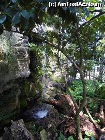 [P46] Cascada din Evolution House. » foto by TraianS
 - 
<span class="allrVoted glyphicon glyphicon-heart hidden" id="av222902"></span>
<a class="m-l-10 hidden" id="sv222902" onclick="voting_Foto_DelVot(,222902,10282)" role="button">șterge vot <span class="glyphicon glyphicon-remove"></span></a>
<a id="v9222902" class=" c-red"  onclick="voting_Foto_SetVot(222902)" role="button"><span class="glyphicon glyphicon-heart-empty"></span> <b>LIKE</b> = Votează poza</a> <img class="hidden"  id="f222902W9" src="/imagini/loader.gif" border="0" /><span class="AjErrMes hidden" id="e222902ErM"></span>