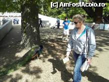 [P48] Paunul care era de paza acolo. In spate se vede Rhizotronul. Nu intelesem despre ce e vorba si nu am intrat acolo. E vorba despre sol, radacini ..etc. » foto by TraianS
 - 
<span class="allrVoted glyphicon glyphicon-heart hidden" id="av222905"></span>
<a class="m-l-10 hidden" id="sv222905" onclick="voting_Foto_DelVot(,222905,10282)" role="button">șterge vot <span class="glyphicon glyphicon-remove"></span></a>
<a id="v9222905" class=" c-red"  onclick="voting_Foto_SetVot(222905)" role="button"><span class="glyphicon glyphicon-heart-empty"></span> <b>LIKE</b> = Votează poza</a> <img class="hidden"  id="f222905W9" src="/imagini/loader.gif" border="0" /><span class="AjErrMes hidden" id="e222905ErM"></span>