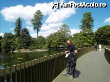 [P59] Podul Sackler Crossing. » foto by TraianS
 - 
<span class="allrVoted glyphicon glyphicon-heart hidden" id="av222917"></span>
<a class="m-l-10 hidden" id="sv222917" onclick="voting_Foto_DelVot(,222917,10282)" role="button">șterge vot <span class="glyphicon glyphicon-remove"></span></a>
<a id="v9222917" class=" c-red"  onclick="voting_Foto_SetVot(222917)" role="button"><span class="glyphicon glyphicon-heart-empty"></span> <b>LIKE</b> = Votează poza</a> <img class="hidden"  id="f222917W9" src="/imagini/loader.gif" border="0" /><span class="AjErrMes hidden" id="e222917ErM"></span>