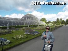 [P08] The Palm House. Constructie in stil Victorian. » foto by TraianS
 - 
<span class="allrVoted glyphicon glyphicon-heart hidden" id="av222796"></span>
<a class="m-l-10 hidden" id="sv222796" onclick="voting_Foto_DelVot(,222796,10282)" role="button">șterge vot <span class="glyphicon glyphicon-remove"></span></a>
<a id="v9222796" class=" c-red"  onclick="voting_Foto_SetVot(222796)" role="button"><span class="glyphicon glyphicon-heart-empty"></span> <b>LIKE</b> = Votează poza</a> <img class="hidden"  id="f222796W9" src="/imagini/loader.gif" border="0" /><span class="AjErrMes hidden" id="e222796ErM"></span>