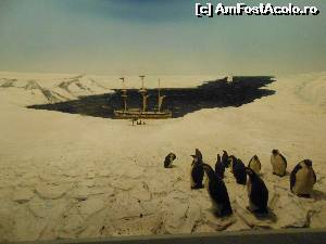 [P13] ... si diorama cu pinguini impaiati » foto by buterfly*
 - 
<span class="allrVoted glyphicon glyphicon-heart hidden" id="av573204"></span>
<a class="m-l-10 hidden" id="sv573204" onclick="voting_Foto_DelVot(,573204,10282)" role="button">șterge vot <span class="glyphicon glyphicon-remove"></span></a>
<a id="v9573204" class=" c-red"  onclick="voting_Foto_SetVot(573204)" role="button"><span class="glyphicon glyphicon-heart-empty"></span> <b>LIKE</b> = Votează poza</a> <img class="hidden"  id="f573204W9" src="/imagini/loader.gif" border="0" /><span class="AjErrMes hidden" id="e573204ErM"></span>