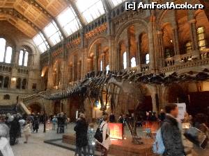[P06] scheletul gigantic de Diplodocus care nu a incaput tot in fotografie » foto by buterfly*
 - 
<span class="allrVoted glyphicon glyphicon-heart hidden" id="av573197"></span>
<a class="m-l-10 hidden" id="sv573197" onclick="voting_Foto_DelVot(,573197,10282)" role="button">șterge vot <span class="glyphicon glyphicon-remove"></span></a>
<a id="v9573197" class=" c-red"  onclick="voting_Foto_SetVot(573197)" role="button"><span class="glyphicon glyphicon-heart-empty"></span> <b>LIKE</b> = Votează poza</a> <img class="hidden"  id="f573197W9" src="/imagini/loader.gif" border="0" /><span class="AjErrMes hidden" id="e573197ErM"></span>