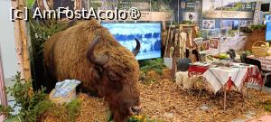 [P15] Vama Buzăului. » foto by tata123 🔱
 - 
<span class="allrVoted glyphicon glyphicon-heart hidden" id="av1518245"></span>
<a class="m-l-10 hidden" id="sv1518245" onclick="voting_Foto_DelVot(,1518245,10344)" role="button">șterge vot <span class="glyphicon glyphicon-remove"></span></a>
<a id="v91518245" class=" c-red"  onclick="voting_Foto_SetVot(1518245)" role="button"><span class="glyphicon glyphicon-heart-empty"></span> <b>LIKE</b> = Votează poza</a> <img class="hidden"  id="f1518245W9" src="/imagini/loader.gif" border="0" /><span class="AjErrMes hidden" id="e1518245ErM"></span>