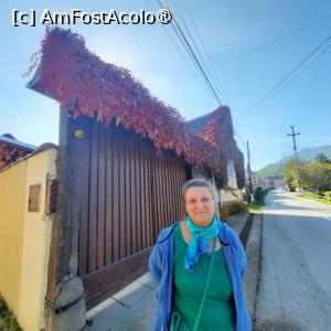 [P06] Strada principală » foto by laurand
 - 
<span class="allrVoted glyphicon glyphicon-heart hidden" id="av1483570"></span>
<a class="m-l-10 hidden" id="sv1483570" onclick="voting_Foto_DelVot(,1483570,10358)" role="button">șterge vot <span class="glyphicon glyphicon-remove"></span></a>
<a id="v91483570" class=" c-red"  onclick="voting_Foto_SetVot(1483570)" role="button"><span class="glyphicon glyphicon-heart-empty"></span> <b>LIKE</b> = Votează poza</a> <img class="hidden"  id="f1483570W9" src="/imagini/loader.gif" border="0" /><span class="AjErrMes hidden" id="e1483570ErM"></span>