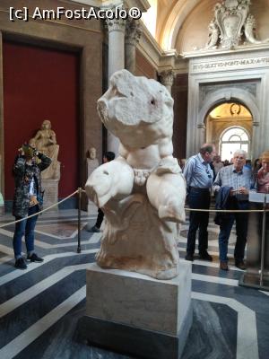 [P26] 26. ”Belvedere Torso” statuia studiată și de Michelangelo.  » foto by msnd
 - 
<span class="allrVoted glyphicon glyphicon-heart hidden" id="av884572"></span>
<a class="m-l-10 hidden" id="sv884572" onclick="voting_Foto_DelVot(,884572,10398)" role="button">șterge vot <span class="glyphicon glyphicon-remove"></span></a>
<a id="v9884572" class=" c-red"  onclick="voting_Foto_SetVot(884572)" role="button"><span class="glyphicon glyphicon-heart-empty"></span> <b>LIKE</b> = Votează poza</a> <img class="hidden"  id="f884572W9" src="/imagini/loader.gif" border="0" /><span class="AjErrMes hidden" id="e884572ErM"></span>