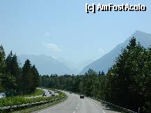 [P02] Pe aceeasi autostrada, ca-n palma, spre Interlaken » foto by ileanaxperta*
 - 
<span class="allrVoted glyphicon glyphicon-heart hidden" id="av276494"></span>
<a class="m-l-10 hidden" id="sv276494" onclick="voting_Foto_DelVot(,276494,10615)" role="button">șterge vot <span class="glyphicon glyphicon-remove"></span></a>
<a id="v9276494" class=" c-red"  onclick="voting_Foto_SetVot(276494)" role="button"><span class="glyphicon glyphicon-heart-empty"></span> <b>LIKE</b> = Votează poza</a> <img class="hidden"  id="f276494W9" src="/imagini/loader.gif" border="0" /><span class="AjErrMes hidden" id="e276494ErM"></span>