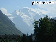 [P29] Interlaken, poza dupa care ma topesc eu...la vederea vf. Jungfrau, mereu inzapezit » foto by ileanaxperta*
 - 
<span class="allrVoted glyphicon glyphicon-heart hidden" id="av276549"></span>
<a class="m-l-10 hidden" id="sv276549" onclick="voting_Foto_DelVot(,276549,10615)" role="button">șterge vot <span class="glyphicon glyphicon-remove"></span></a>
<a id="v9276549" class=" c-red"  onclick="voting_Foto_SetVot(276549)" role="button"><span class="glyphicon glyphicon-heart-empty"></span> <b>LIKE</b> = Votează poza</a> <img class="hidden"  id="f276549W9" src="/imagini/loader.gif" border="0" /><span class="AjErrMes hidden" id="e276549ErM"></span>