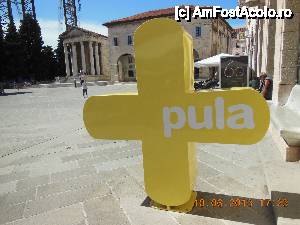 [P27] Pula » foto by felix
 - 
<span class="allrVoted glyphicon glyphicon-heart hidden" id="av432180"></span>
<a class="m-l-10 hidden" id="sv432180" onclick="voting_Foto_DelVot(,432180,10670)" role="button">șterge vot <span class="glyphicon glyphicon-remove"></span></a>
<a id="v9432180" class=" c-red"  onclick="voting_Foto_SetVot(432180)" role="button"><span class="glyphicon glyphicon-heart-empty"></span> <b>LIKE</b> = Votează poza</a> <img class="hidden"  id="f432180W9" src="/imagini/loader.gif" border="0" /><span class="AjErrMes hidden" id="e432180ErM"></span>
