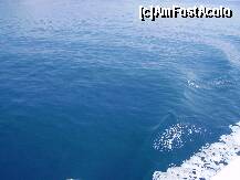 [P22] Ferry Igoumenitsa - Kerkyra » foto by krondia*
 - 
<span class="allrVoted glyphicon glyphicon-heart hidden" id="av221382"></span>
<a class="m-l-10 hidden" id="sv221382" onclick="voting_Foto_DelVot(,221382,10699)" role="button">șterge vot <span class="glyphicon glyphicon-remove"></span></a>
<a id="v9221382" class=" c-red"  onclick="voting_Foto_SetVot(221382)" role="button"><span class="glyphicon glyphicon-heart-empty"></span> <b>LIKE</b> = Votează poza</a> <img class="hidden"  id="f221382W9" src="/imagini/loader.gif" border="0" /><span class="AjErrMes hidden" id="e221382ErM"></span>