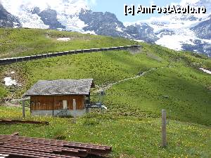 [P16] Jungfraujoch - Pe coasta cu floricele, sina de cale ferata acoperita partial.  » foto by iulianic
 - 
<span class="allrVoted glyphicon glyphicon-heart hidden" id="av370048"></span>
<a class="m-l-10 hidden" id="sv370048" onclick="voting_Foto_DelVot(,370048,10927)" role="button">șterge vot <span class="glyphicon glyphicon-remove"></span></a>
<a id="v9370048" class=" c-red"  onclick="voting_Foto_SetVot(370048)" role="button"><span class="glyphicon glyphicon-heart-empty"></span> <b>LIKE</b> = Votează poza</a> <img class="hidden"  id="f370048W9" src="/imagini/loader.gif" border="0" /><span class="AjErrMes hidden" id="e370048ErM"></span>