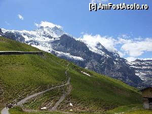 [P18] Jungfraujoch - Pe carari de munte, grupuri - grupuri de turisti.  » foto by iulianic
 - 
<span class="allrVoted glyphicon glyphicon-heart hidden" id="av370050"></span>
<a class="m-l-10 hidden" id="sv370050" onclick="voting_Foto_DelVot(,370050,10927)" role="button">șterge vot <span class="glyphicon glyphicon-remove"></span></a>
<a id="v9370050" class=" c-red"  onclick="voting_Foto_SetVot(370050)" role="button"><span class="glyphicon glyphicon-heart-empty"></span> <b>LIKE</b> = Votează poza</a> <img class="hidden"  id="f370050W9" src="/imagini/loader.gif" border="0" /><span class="AjErrMes hidden" id="e370050ErM"></span>