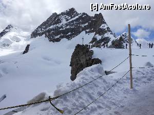 [P53] Jungfraujoch - Pe zapada proaspata.  » foto by iulianic
 - 
<span class="allrVoted glyphicon glyphicon-heart hidden" id="av370085"></span>
<a class="m-l-10 hidden" id="sv370085" onclick="voting_Foto_DelVot(,370085,10927)" role="button">șterge vot <span class="glyphicon glyphicon-remove"></span></a>
<a id="v9370085" class=" c-red"  onclick="voting_Foto_SetVot(370085)" role="button"><span class="glyphicon glyphicon-heart-empty"></span> <b>LIKE</b> = Votează poza</a> <img class="hidden"  id="f370085W9" src="/imagini/loader.gif" border="0" /><span class="AjErrMes hidden" id="e370085ErM"></span>