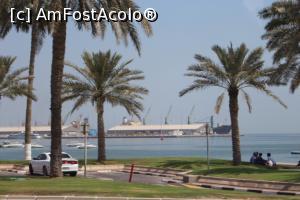 [P84] Doha cu palmieri pe faleză » foto by mprofeanu
 - 
<span class="allrVoted glyphicon glyphicon-heart hidden" id="av800193"></span>
<a class="m-l-10 hidden" id="sv800193" onclick="voting_Foto_DelVot(,800193,11020)" role="button">șterge vot <span class="glyphicon glyphicon-remove"></span></a>
<a id="v9800193" class=" c-red"  onclick="voting_Foto_SetVot(800193)" role="button"><span class="glyphicon glyphicon-heart-empty"></span> <b>LIKE</b> = Votează poza</a> <img class="hidden"  id="f800193W9" src="/imagini/loader.gif" border="0" /><span class="AjErrMes hidden" id="e800193ErM"></span>