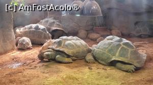 [P10]  -- <small>// FĂRĂ DESCRIERE</small> » foto by geani anto
 - 
<span class="allrVoted glyphicon glyphicon-heart hidden" id="av1509523"></span>
<a class="m-l-10 hidden" id="sv1509523" onclick="voting_Foto_DelVot(,1509523,11037)" role="button">șterge vot <span class="glyphicon glyphicon-remove"></span></a>
<a id="v91509523" class=" c-red"  onclick="voting_Foto_SetVot(1509523)" role="button"><span class="glyphicon glyphicon-heart-empty"></span> <b>LIKE</b> = Votează poza</a> <img class="hidden"  id="f1509523W9" src="/imagini/loader.gif" border="0" /><span class="AjErrMes hidden" id="e1509523ErM"></span>