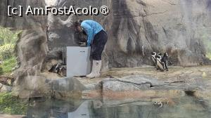 [P18]  -- <small>// FĂRĂ DESCRIERE</small> » foto by geani anto
 - 
<span class="allrVoted glyphicon glyphicon-heart hidden" id="av1509531"></span>
<a class="m-l-10 hidden" id="sv1509531" onclick="voting_Foto_DelVot(,1509531,11037)" role="button">șterge vot <span class="glyphicon glyphicon-remove"></span></a>
<a id="v91509531" class=" c-red"  onclick="voting_Foto_SetVot(1509531)" role="button"><span class="glyphicon glyphicon-heart-empty"></span> <b>LIKE</b> = Votează poza</a> <img class="hidden"  id="f1509531W9" src="/imagini/loader.gif" border="0" /><span class="AjErrMes hidden" id="e1509531ErM"></span>