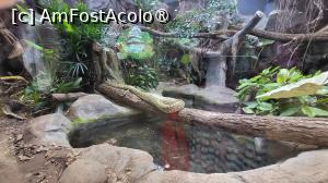 [P04] In zona cu amfibieni, am zarit cobra chinezeasca, broasca testoasa gigantica Aldabra, aligatorul chinezesc si salamandra gigantica chinezeasca. » foto by geani anto
 - 
<span class="allrVoted glyphicon glyphicon-heart hidden" id="av1509517"></span>
<a class="m-l-10 hidden" id="sv1509517" onclick="voting_Foto_DelVot(,1509517,11037)" role="button">șterge vot <span class="glyphicon glyphicon-remove"></span></a>
<a id="v91509517" class=" c-red"  onclick="voting_Foto_SetVot(1509517)" role="button"><span class="glyphicon glyphicon-heart-empty"></span> <b>LIKE</b> = Votează poza</a> <img class="hidden"  id="f1509517W9" src="/imagini/loader.gif" border="0" /><span class="AjErrMes hidden" id="e1509517ErM"></span>