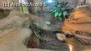 [P05]  -- <small>// FĂRĂ DESCRIERE</small> » foto by geani anto
 - 
<span class="allrVoted glyphicon glyphicon-heart hidden" id="av1509518"></span>
<a class="m-l-10 hidden" id="sv1509518" onclick="voting_Foto_DelVot(,1509518,11037)" role="button">șterge vot <span class="glyphicon glyphicon-remove"></span></a>
<a id="v91509518" class=" c-red"  onclick="voting_Foto_SetVot(1509518)" role="button"><span class="glyphicon glyphicon-heart-empty"></span> <b>LIKE</b> = Votează poza</a> <img class="hidden"  id="f1509518W9" src="/imagini/loader.gif" border="0" /><span class="AjErrMes hidden" id="e1509518ErM"></span>