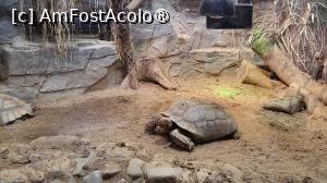 [P07]  -- <small>// FĂRĂ DESCRIERE</small> » foto by geani anto
 - 
<span class="allrVoted glyphicon glyphicon-heart hidden" id="av1509520"></span>
<a class="m-l-10 hidden" id="sv1509520" onclick="voting_Foto_DelVot(,1509520,11037)" role="button">șterge vot <span class="glyphicon glyphicon-remove"></span></a>
<a id="v91509520" class=" c-red"  onclick="voting_Foto_SetVot(1509520)" role="button"><span class="glyphicon glyphicon-heart-empty"></span> <b>LIKE</b> = Votează poza</a> <img class="hidden"  id="f1509520W9" src="/imagini/loader.gif" border="0" /><span class="AjErrMes hidden" id="e1509520ErM"></span>