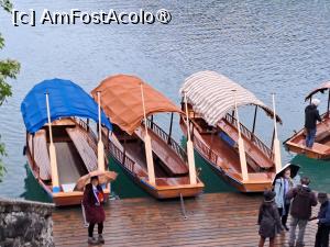 [P38]  -- <small>// FĂRĂ DESCRIERE</small> » foto by zlatna
 - 
<span class="allrVoted glyphicon glyphicon-heart hidden" id="av1508654"></span>
<a class="m-l-10 hidden" id="sv1508654" onclick="voting_Foto_DelVot(,1508654,11040)" role="button">șterge vot <span class="glyphicon glyphicon-remove"></span></a>
<a id="v91508654" class=" c-red"  onclick="voting_Foto_SetVot(1508654)" role="button"><span class="glyphicon glyphicon-heart-empty"></span> <b>LIKE</b> = Votează poza</a> <img class="hidden"  id="f1508654W9" src="/imagini/loader.gif" border="0" /><span class="AjErrMes hidden" id="e1508654ErM"></span>