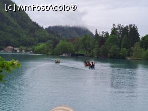 [P39] lacul Bled - Slovenia » foto by zlatna
 - 
<span class="allrVoted glyphicon glyphicon-heart hidden" id="av1508655"></span>
<a class="m-l-10 hidden" id="sv1508655" onclick="voting_Foto_DelVot(,1508655,11040)" role="button">șterge vot <span class="glyphicon glyphicon-remove"></span></a>
<a id="v91508655" class=" c-red"  onclick="voting_Foto_SetVot(1508655)" role="button"><span class="glyphicon glyphicon-heart-empty"></span> <b>LIKE</b> = Votează poza</a> <img class="hidden"  id="f1508655W9" src="/imagini/loader.gif" border="0" /><span class="AjErrMes hidden" id="e1508655ErM"></span>