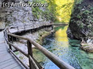 [P18] La pas prin Canionul Vintgar » foto by crismis
 - 
<span class="allrVoted glyphicon glyphicon-heart hidden" id="av1510697"></span>
<a class="m-l-10 hidden" id="sv1510697" onclick="voting_Foto_DelVot(,1510697,11040)" role="button">șterge vot <span class="glyphicon glyphicon-remove"></span></a>
<a id="v91510697" class=" c-red"  onclick="voting_Foto_SetVot(1510697)" role="button"><span class="glyphicon glyphicon-heart-empty"></span> <b>LIKE</b> = Votează poza</a> <img class="hidden"  id="f1510697W9" src="/imagini/loader.gif" border="0" /><span class="AjErrMes hidden" id="e1510697ErM"></span>