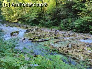 [P21] La pas prin Canionul Vintgar » foto by crismis
 - 
<span class="allrVoted glyphicon glyphicon-heart hidden" id="av1510700"></span>
<a class="m-l-10 hidden" id="sv1510700" onclick="voting_Foto_DelVot(,1510700,11040)" role="button">șterge vot <span class="glyphicon glyphicon-remove"></span></a>
<a id="v91510700" class=" c-red"  onclick="voting_Foto_SetVot(1510700)" role="button"><span class="glyphicon glyphicon-heart-empty"></span> <b>LIKE</b> = Votează poza</a> <img class="hidden"  id="f1510700W9" src="/imagini/loader.gif" border="0" /><span class="AjErrMes hidden" id="e1510700ErM"></span>