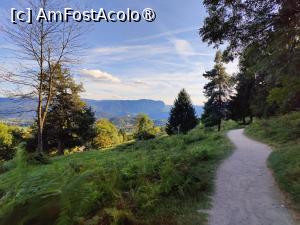 [P37] Pe traseul de întoarcere » foto by crismis
 - 
<span class="allrVoted glyphicon glyphicon-heart hidden" id="av1510715"></span>
<a class="m-l-10 hidden" id="sv1510715" onclick="voting_Foto_DelVot(,1510715,11040)" role="button">șterge vot <span class="glyphicon glyphicon-remove"></span></a>
<a id="v91510715" class=" c-red"  onclick="voting_Foto_SetVot(1510715)" role="button"><span class="glyphicon glyphicon-heart-empty"></span> <b>LIKE</b> = Votează poza</a> <img class="hidden"  id="f1510715W9" src="/imagini/loader.gif" border="0" /><span class="AjErrMes hidden" id="e1510715ErM"></span>